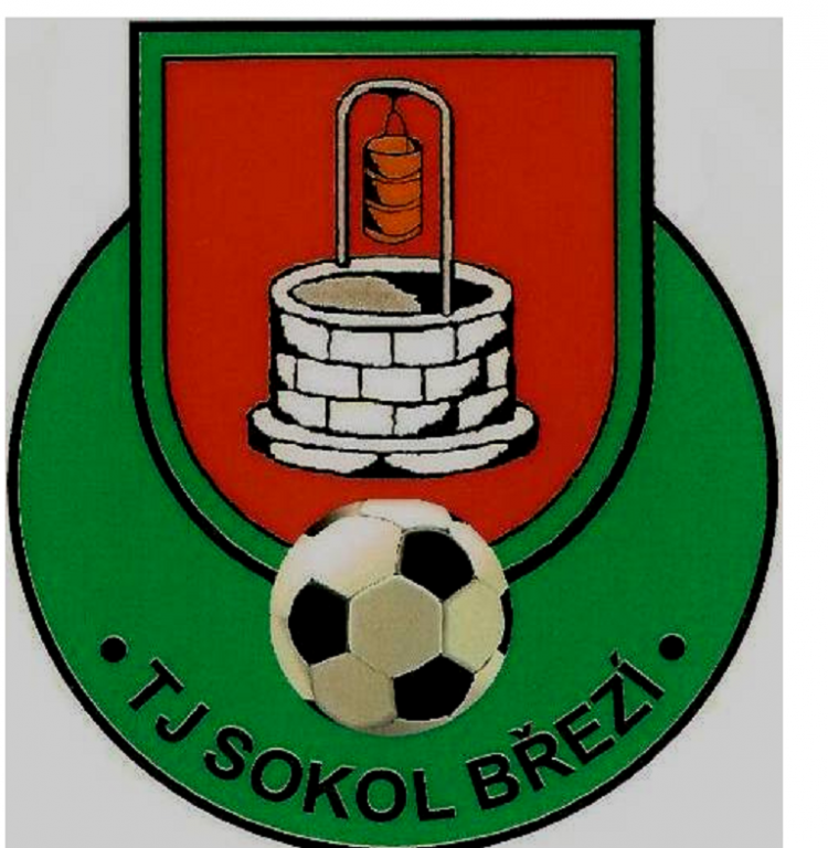 SOKOL LOGO.png